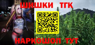 СК Будённовск