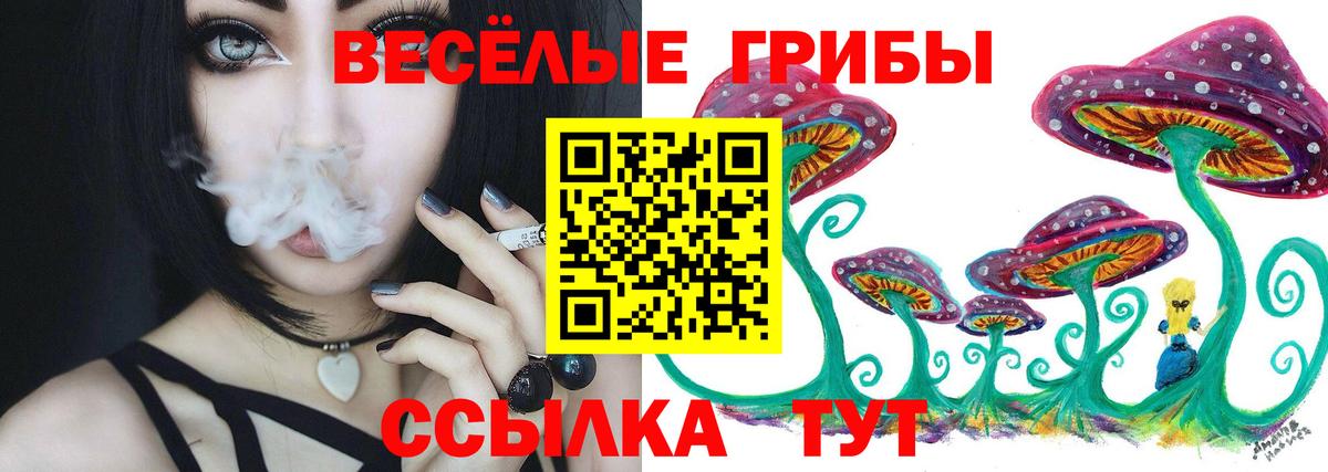 Новочебоксарск  где продают   Вход с VPN  Галлюциногенные грибы мухоморы 